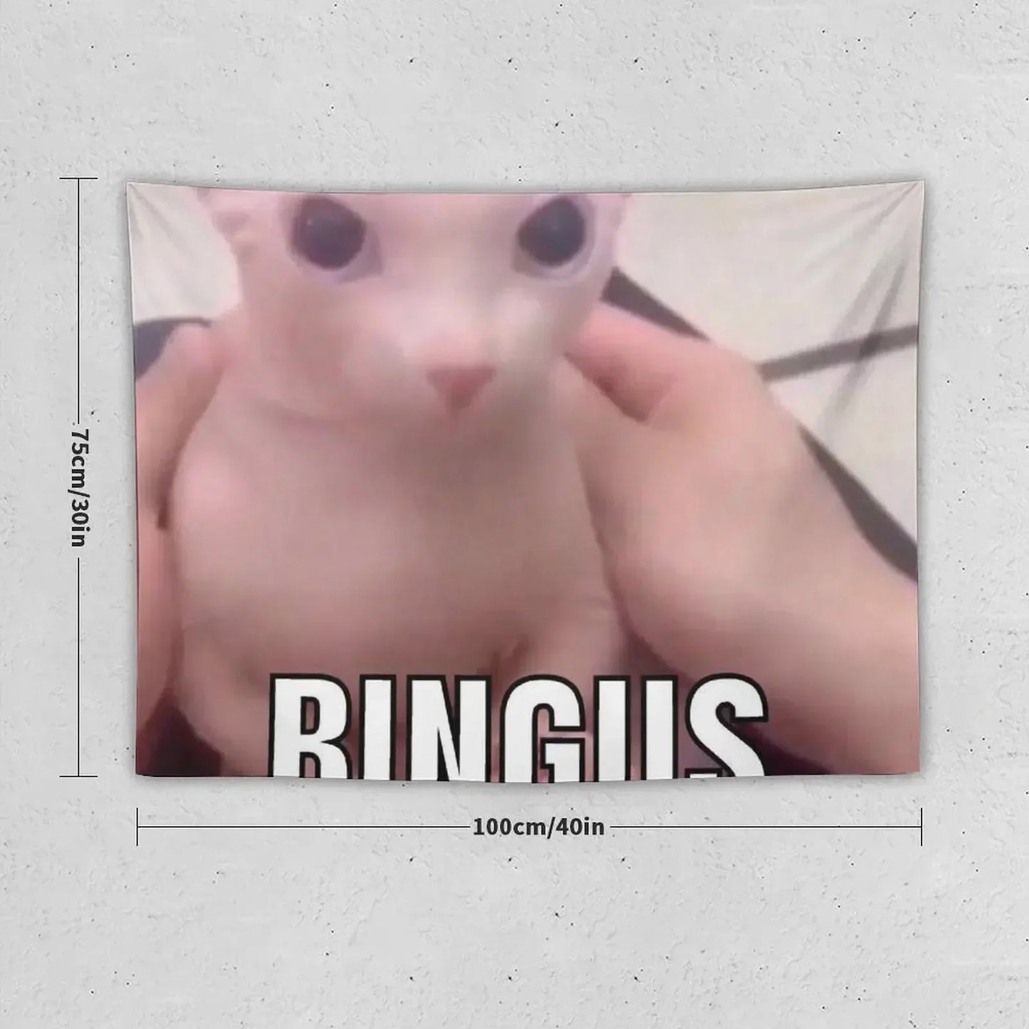 bingus